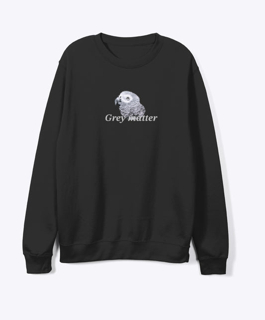 AG grey matter sweatshirt unisex