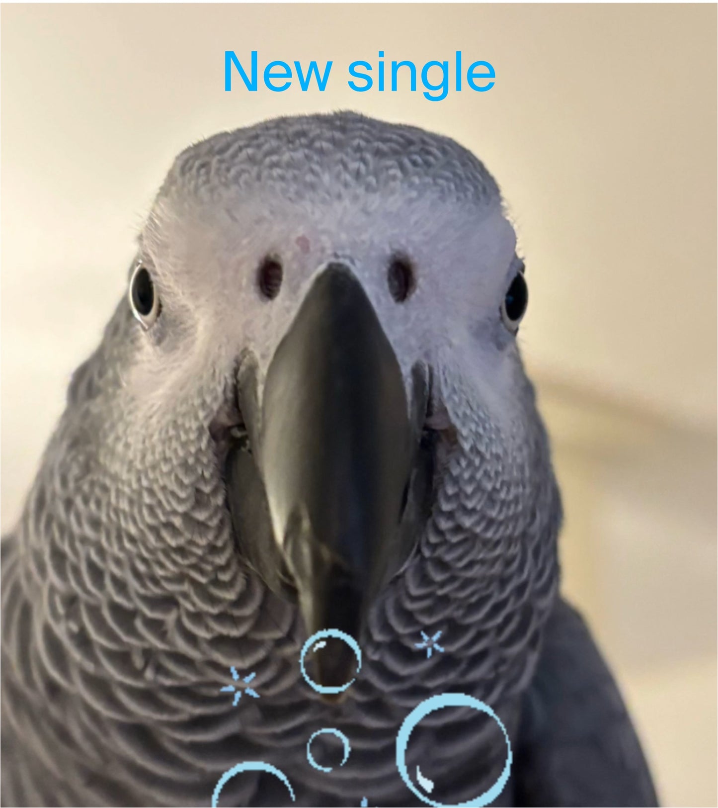 AG Cleaning up with Huffle new single