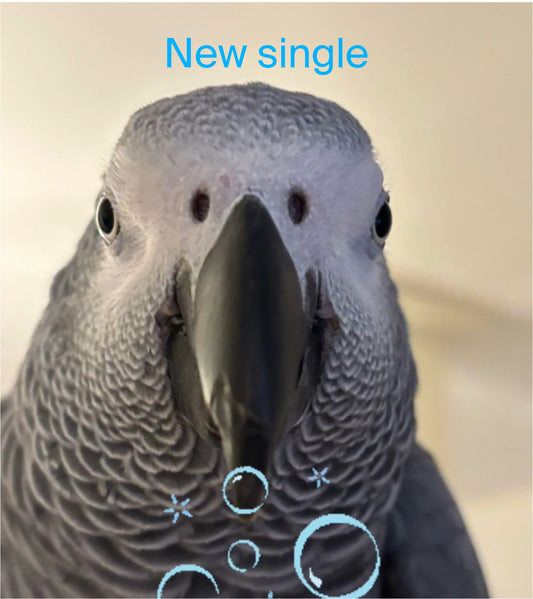 AG Cleaning up with Huffle new single